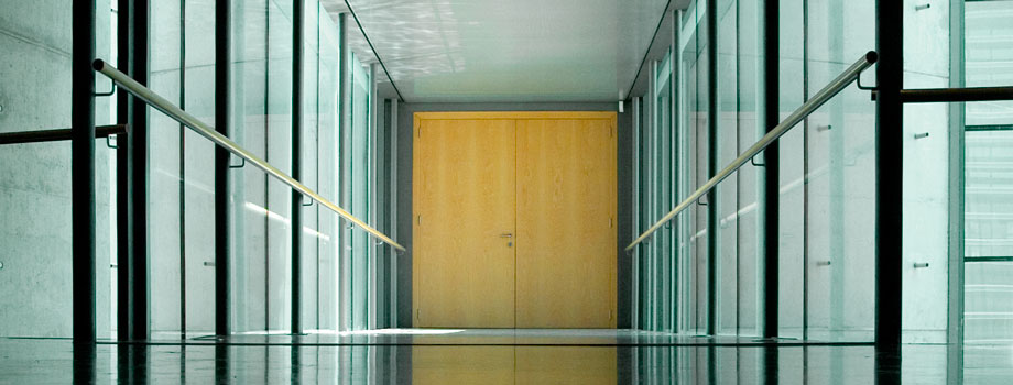 Custom Flush Door Pairs