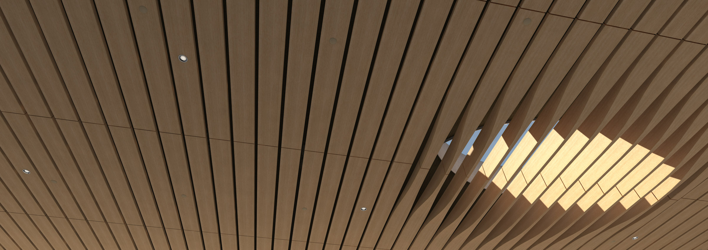 Navy Island Acoustic Wood Ceilings